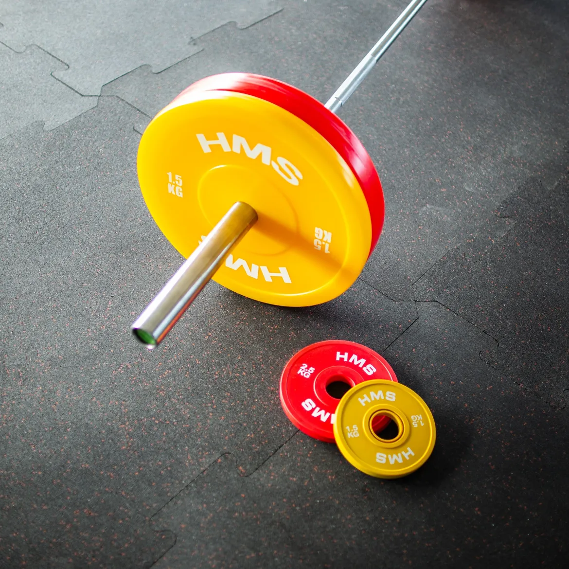 TPP ZESTAW TALERZY OLIMPIJSKICH TECHNICZNYCH PE 2 x 1.5 - 5 KG (18 KG) HMS