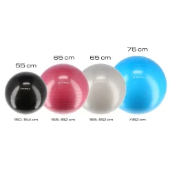 YB01 NEW 65CM PIŁKA GIMNASTYCZNA HMS